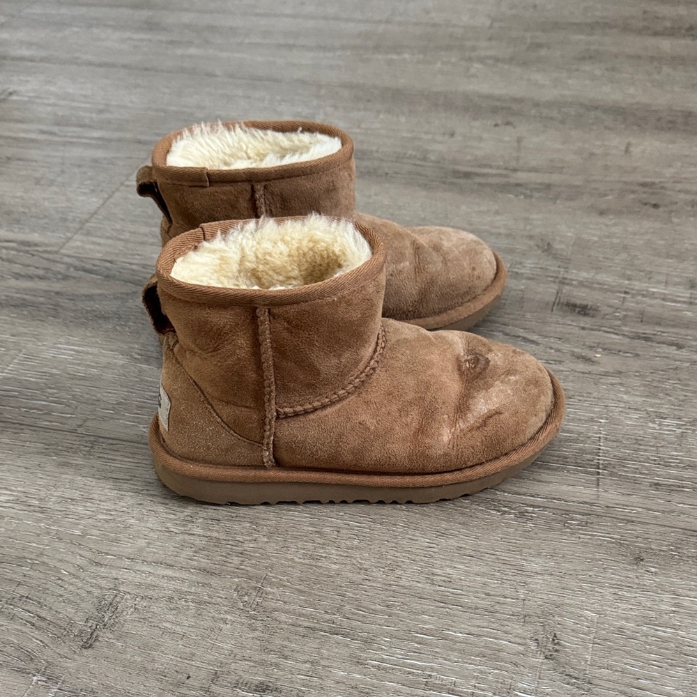 UGG Chestnut Boots